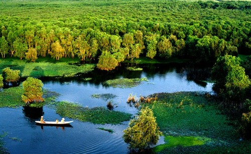 Сказочное мгновение в мангровом лесу Чашы - ảnh 1